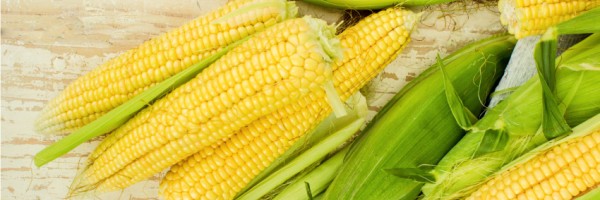 Corn Allergy Overview: Triggers, Treatment, and Management